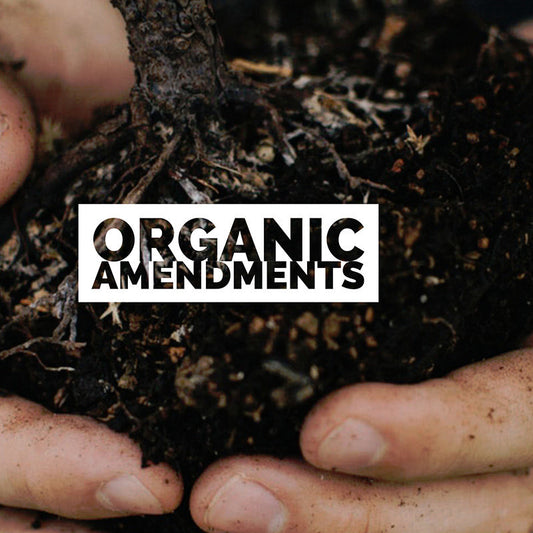 Amend your soil for Spring